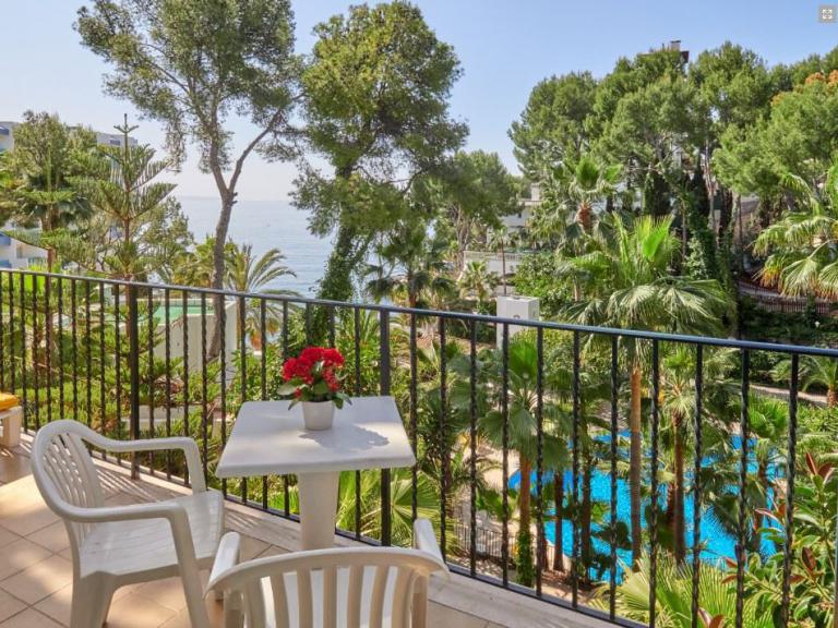 medico seminare | Hotel Bonsol